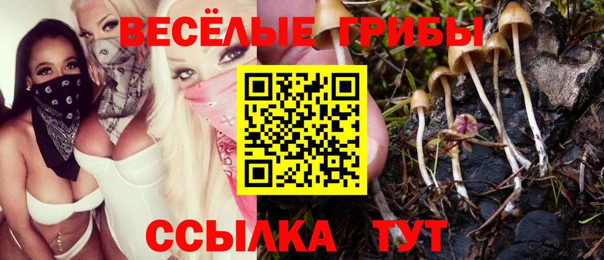 Псилоцибиновые грибы Magic Shrooms Балабаново
